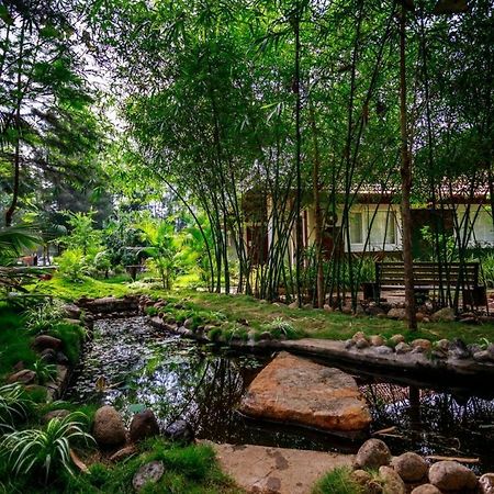 Jungle Retreat Natural Stay Kombaikadu コダイカナル エクステリア 写真
