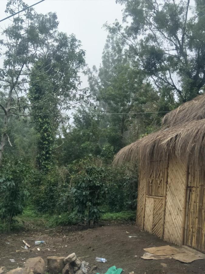 Jungle Retreat Natural Stay Kombaikadu コダイカナル エクステリア 写真